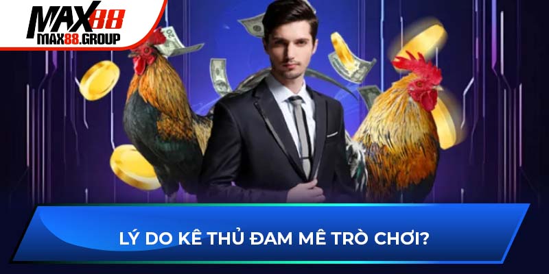Lý do kê thủ đam mê trò chơi?